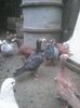 Photo0255