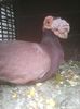 Photo0261