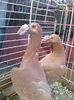 Photo0183