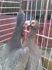 Photo0201