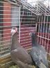 Photo0202