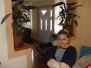 Picture 031
