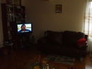 Picture 033
