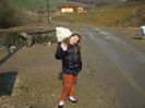 Picture 077
