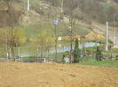 Picture 084
