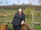 Picture 094