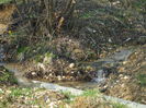 Picture 113