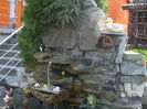 Picture 121