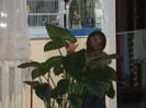 Picture 129