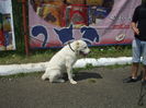 Picture 153