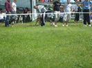 Picture 157
