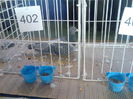 Imag060