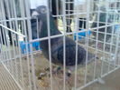 Imag062