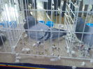 Imag063