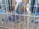 Imag064