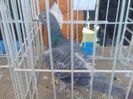 Imag065
