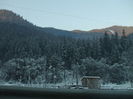 Picture 005