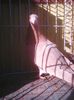 Photo0267