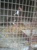 Photo0392