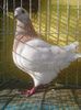 Photo0319