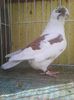Photo0321