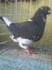 Photo0326