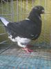 Photo0327