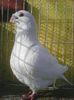 Photo0330