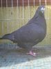 Photo0344
