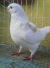 Photo0356