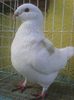 Photo0359