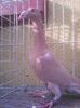 Photo0378