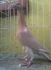 Photo0379