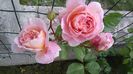 Abraham Darby