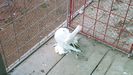 20161103_125134 (2)