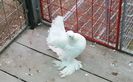 20161103_131042 (2)