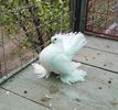 20161103_131108 (2)
