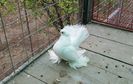 20161103_131113 (2)