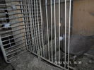 SAM_0641