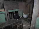 SAM_0642