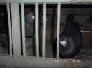 SAM_0644