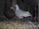 SAM_0647