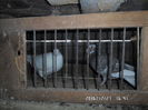 SAM_0652