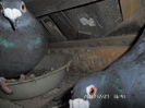 SAM_0653