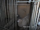 SAM_0654