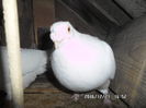 SAM_0686