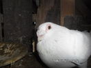 SAM_0687
