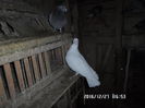 SAM_0688