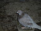 SAM_0697