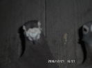 SAM_0702
